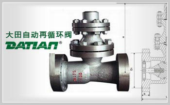 排空止回閥 排空止回閥