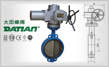 電動(dòng)蝶閥 電動(dòng)蝶閥